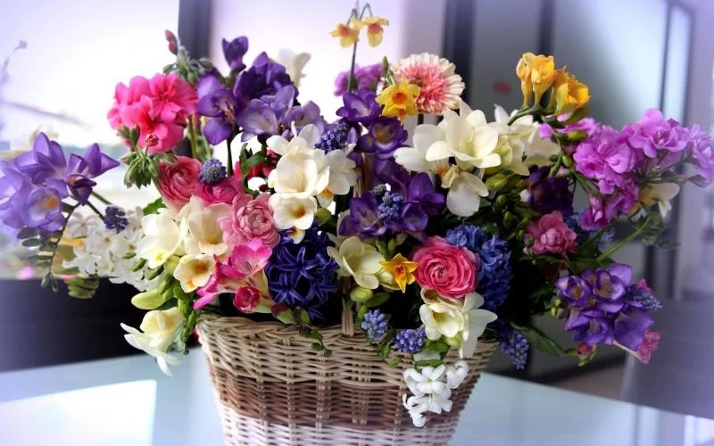 Акции в цветочных салонах на День матери